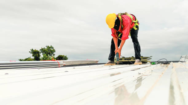 Best Storm Damage Roof Repair  in Camp Hill, AL