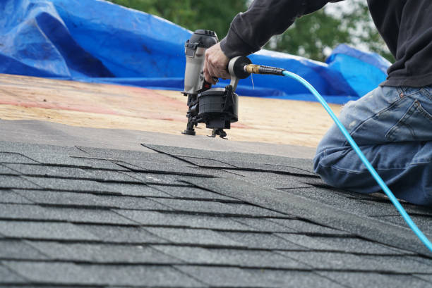 Best Gutter Installation and Repair  in Camp Hill, AL